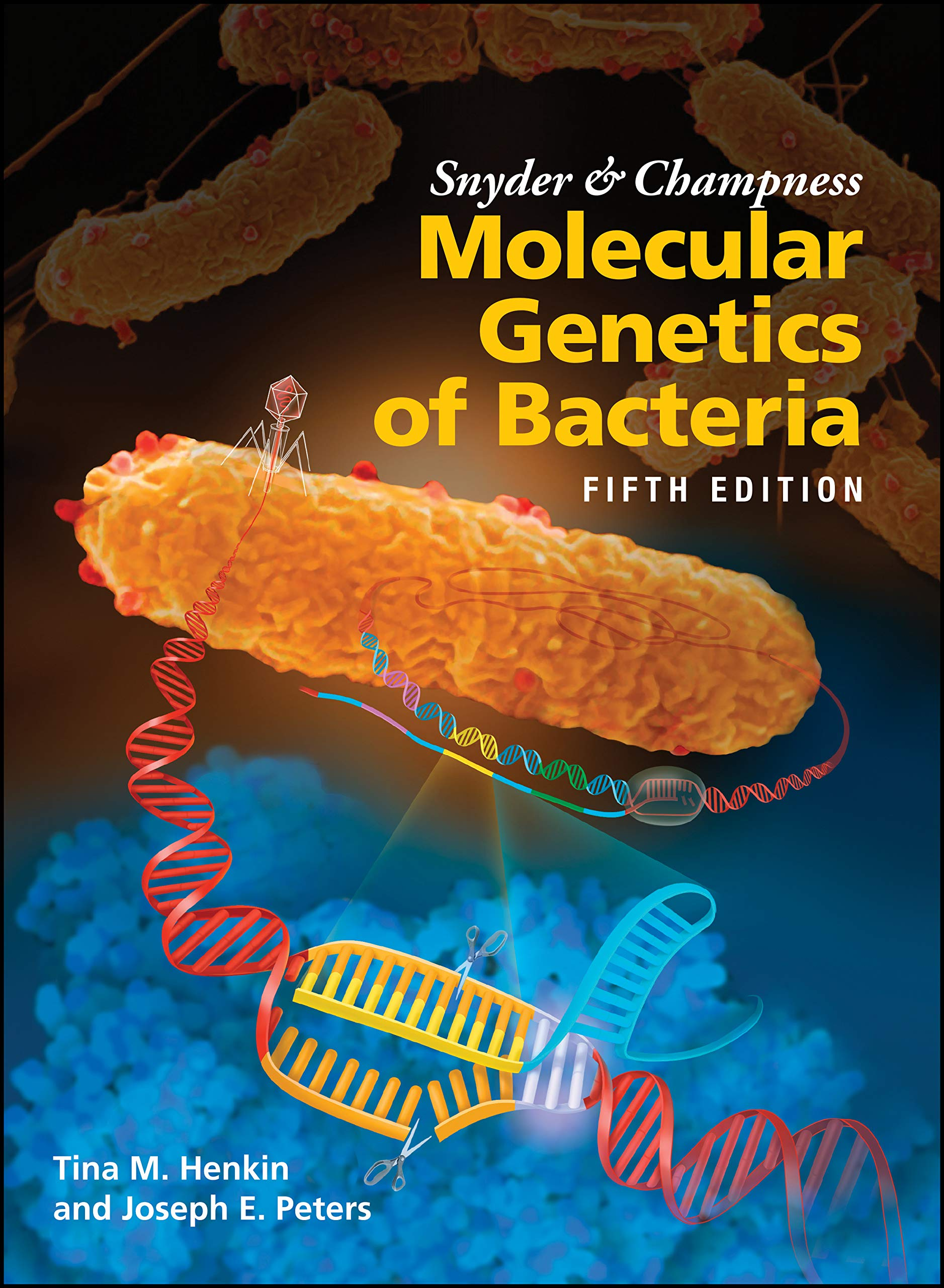 Snyder & Champness Molecular Genetics of Bacteria textbook cover