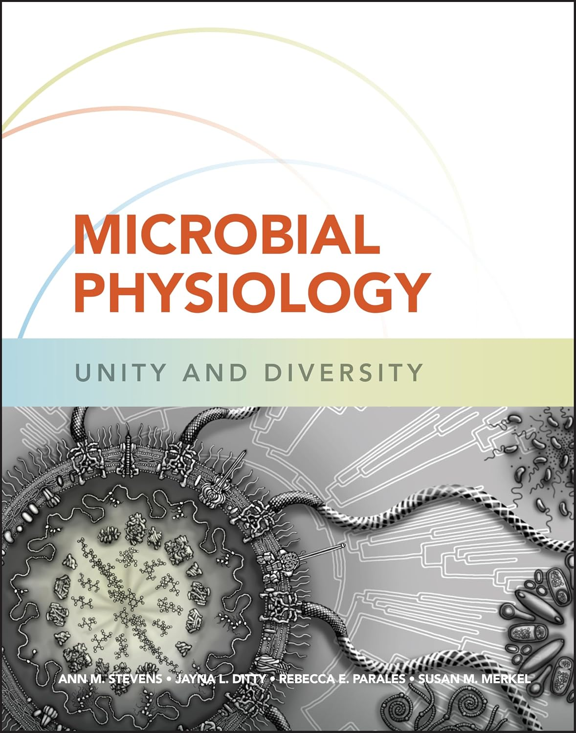 Microbial Physiology: Unity and Diversity textbook cover